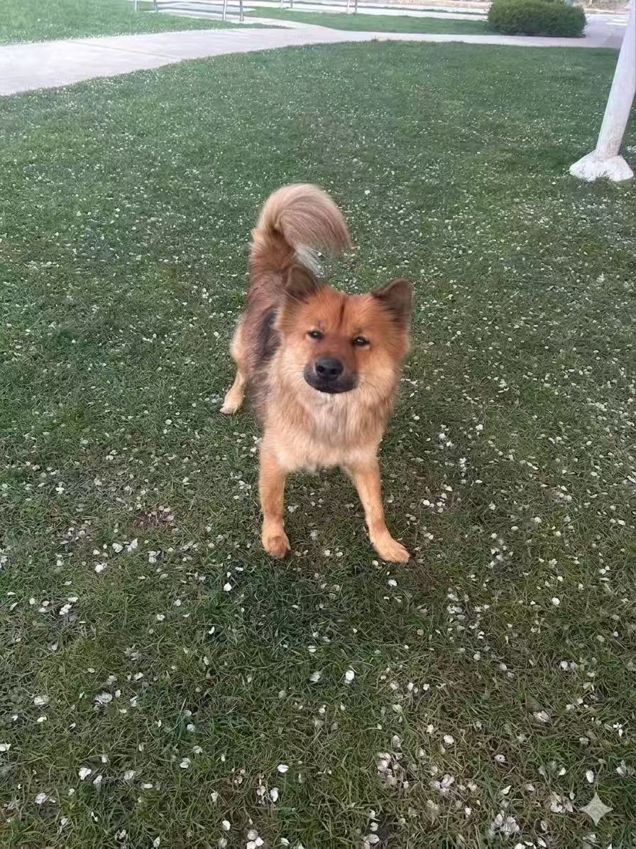 Benny picture